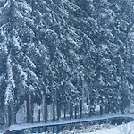 Villa Alpenblick *