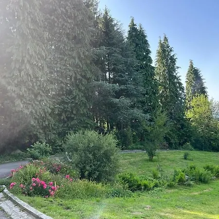 Feriehus Alpenblick Rickenbach (Baden-Wurttemberg)