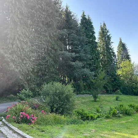 Holiday home Bodea Alpenblick Rickenbach (Baden-Wurttemberg)