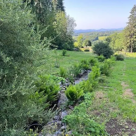 Vakantiehuis Bodea Alpenblick Rickenbach (Baden-Wurttemberg)