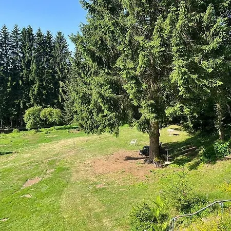 Holiday home Bodea Alpenblick *