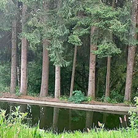 Alpenblick Rickenbach (Baden-Wurttemberg)