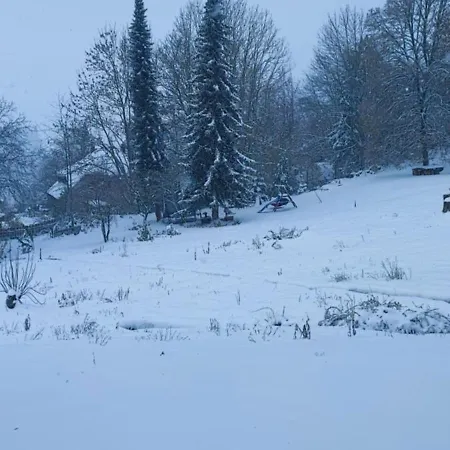Alpenblick Ferienhaus Rickenbach (Baden-Wurttemberg)