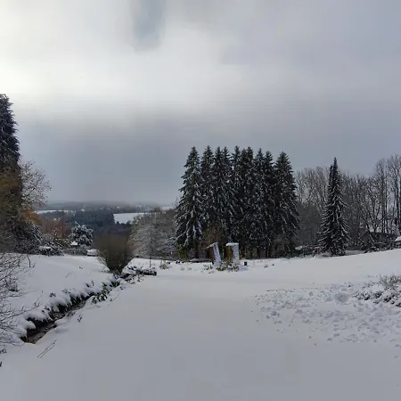 Vakantiehuis Bodea Alpenblick Rickenbach (Baden-Wurttemberg)