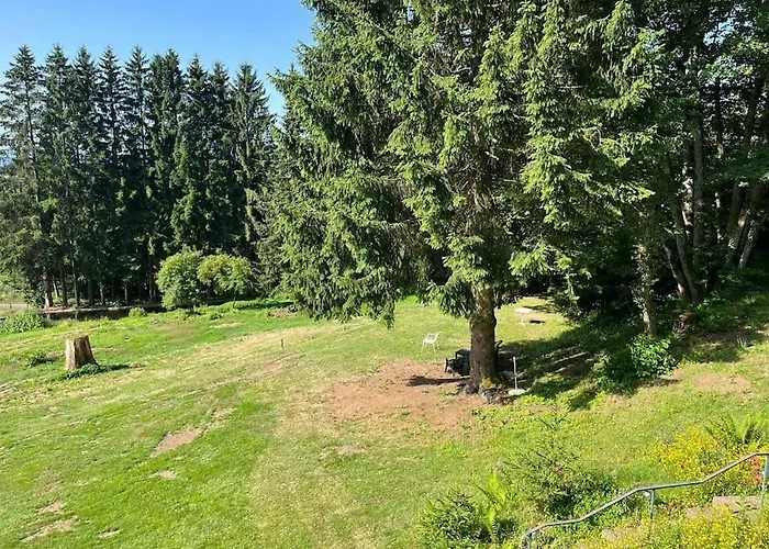 Сasa de vacaciones Bodea Alpenblick *