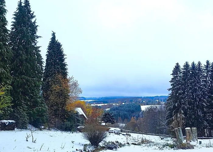 Bodea Alpenblick Сasa de vacaciones Rickenbach (Baden-Wurttemberg)