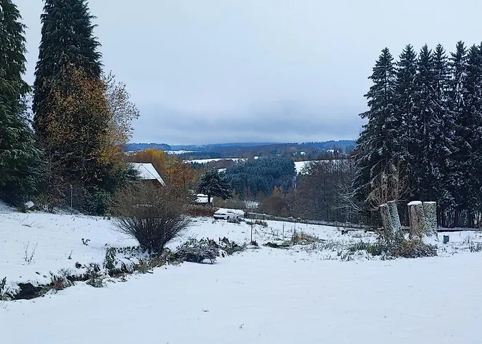 Bodea Alpenblick Сasa de vacaciones Rickenbach (Baden-Wurttemberg)