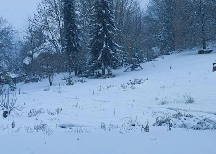 Bodea Alpenblick Сasa de vacaciones Rickenbach (Baden-Wurttemberg)