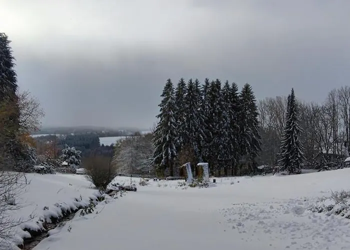 Сasa de vacaciones Bodea Alpenblick Rickenbach (Baden-Wurttemberg)