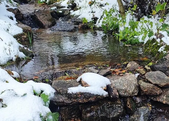Bodea Alpenblick Сasa de vacaciones *