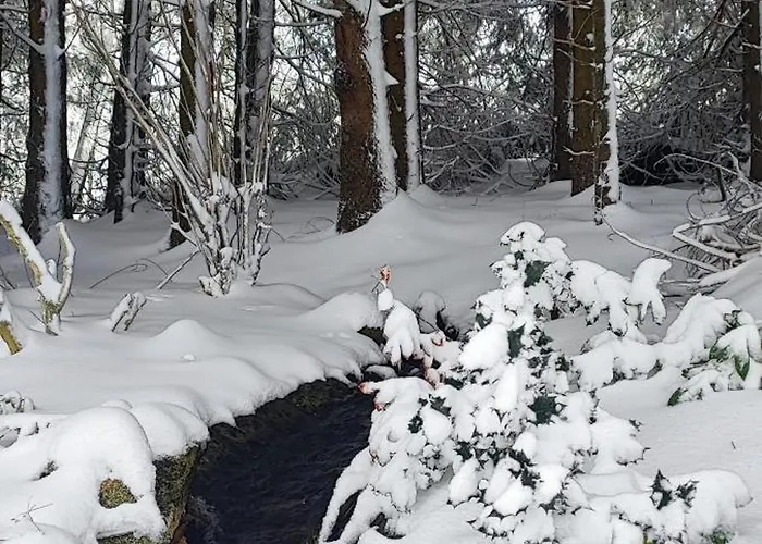 Bodea Alpenblick Сasa de vacaciones Rickenbach (Baden-Wurttemberg)